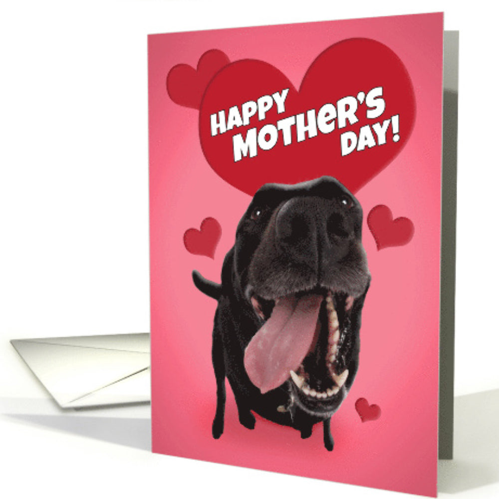 Spercy Funny Dog Mothers Day Card, Hilarious Mother's Day Card for Dog Mom,  Mothers Day Gift for Dog Owner, You Worked Hard And Raised Me Well