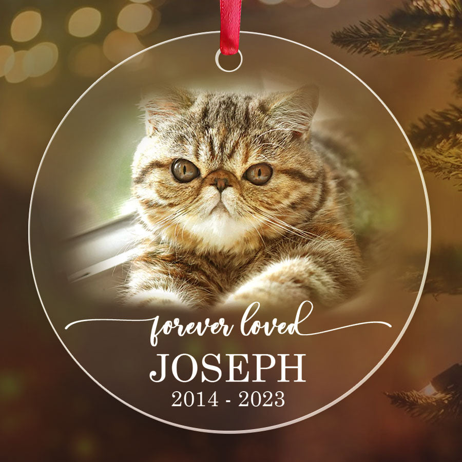 Cat Memorial Ornament Photo