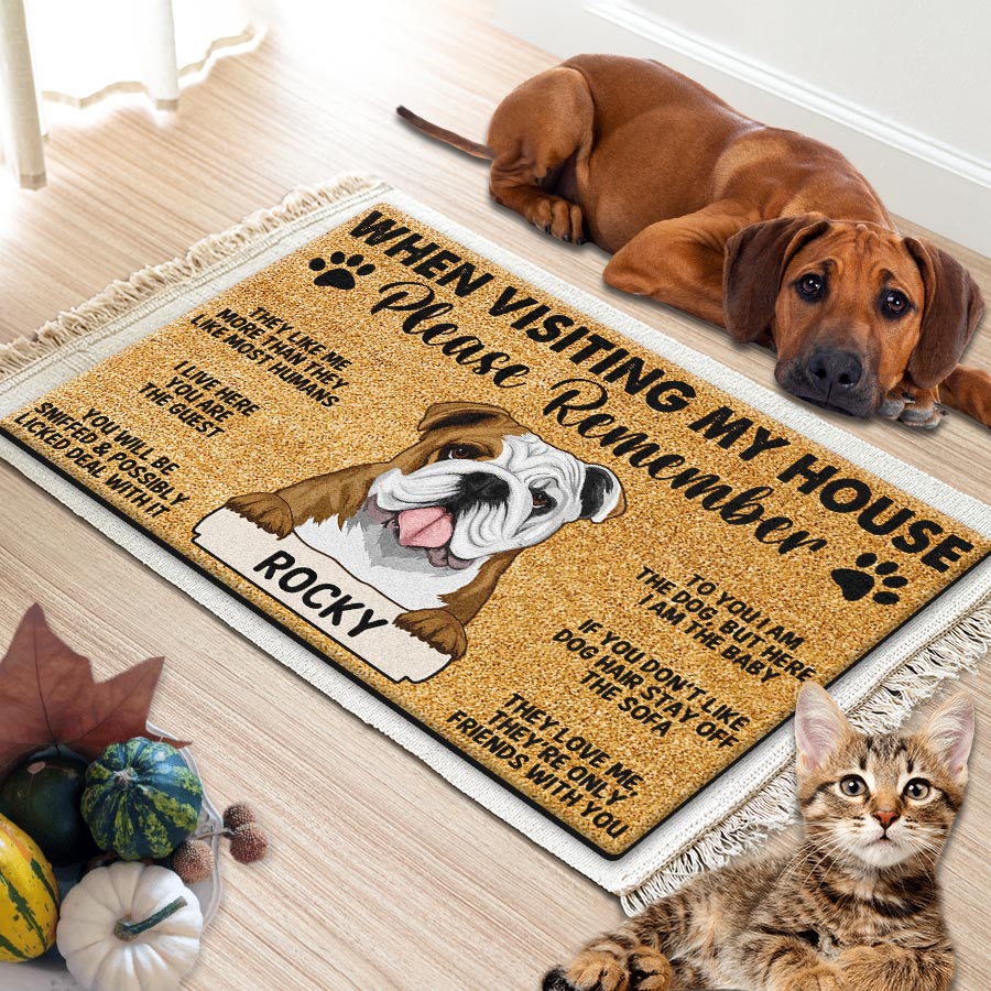 Dog Mat Personalized Dog Doormats Pet Doormat When Visiting My House Please