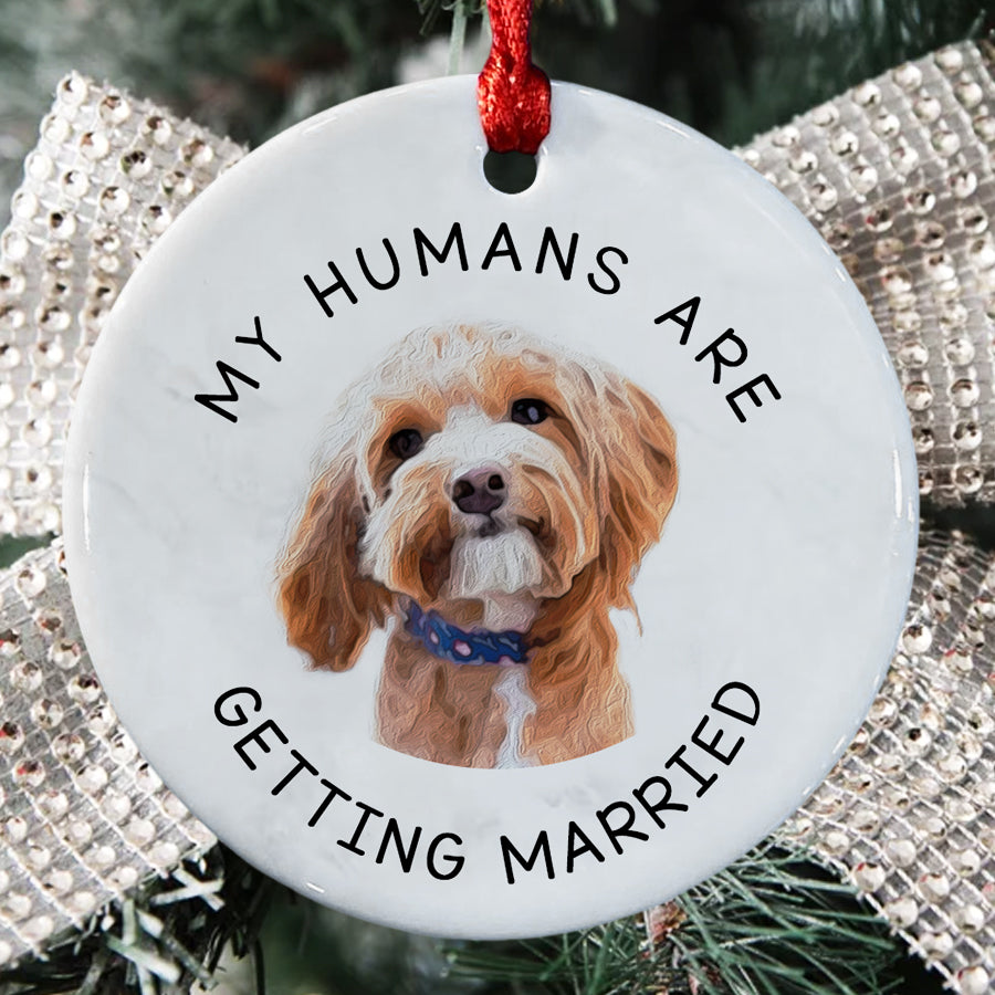 My Humans Are Getting Married Ornament