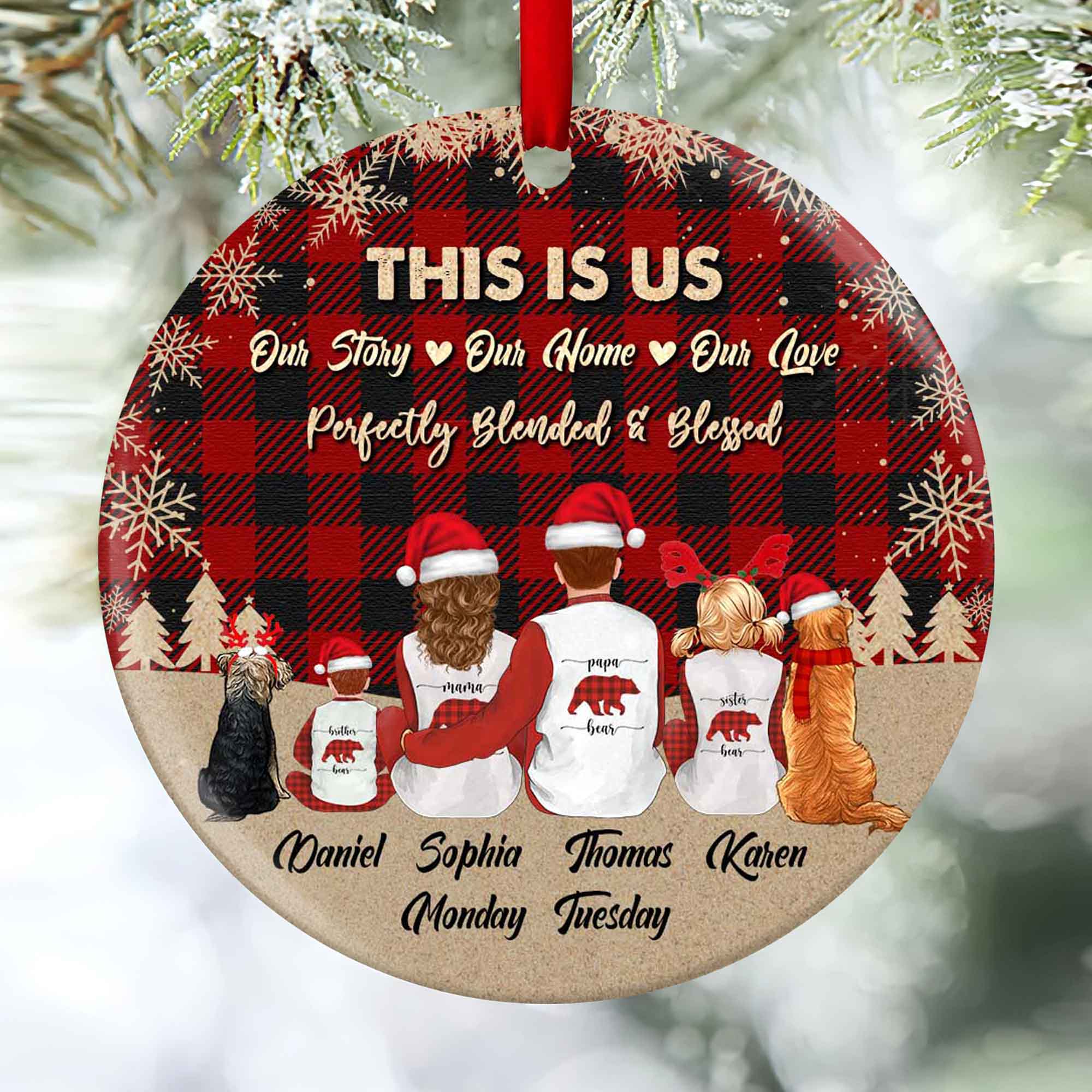 family christmas ornaments with pets